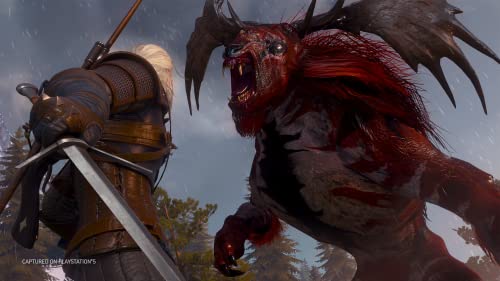 CD PROJEKT The Witcher 3: Wild Hunt COMPLET Anglais Playstation 5